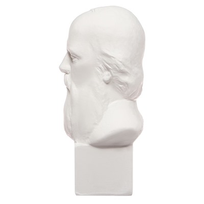 Гипсовая фигура известные люди: Бюст Салтыкова-Щедрина 20×9.5×10.5 см