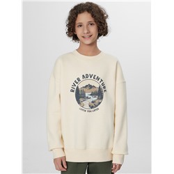 СВИТШОТ ДЛЯ МАЛЬЧИКОВ 123487