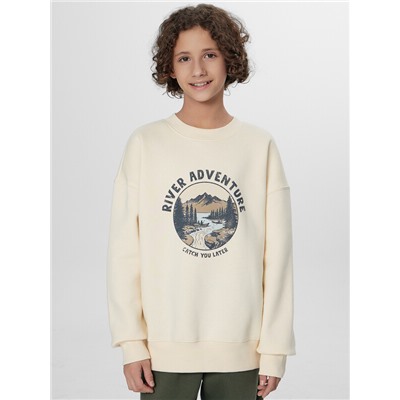 СВИТШОТ ДЛЯ МАЛЬЧИКОВ 123487