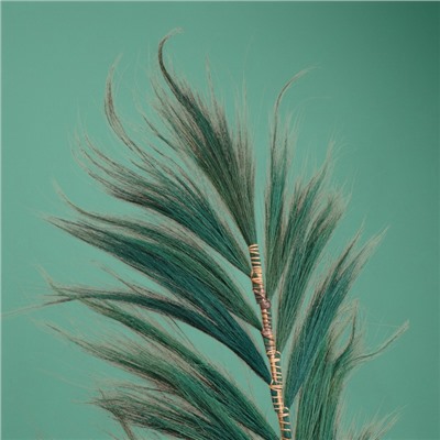 Сухоцвет на бамбуковом стебле, 250 см, зелёный