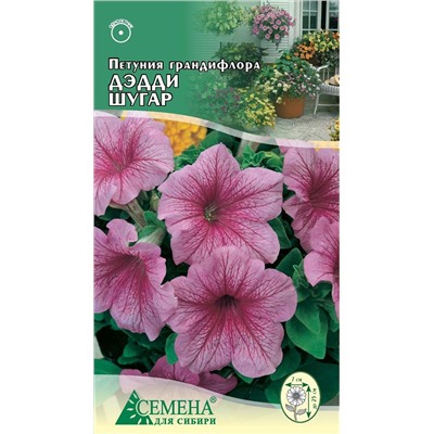 Петуния Дэдди Шугар F1, 10сем (цв)