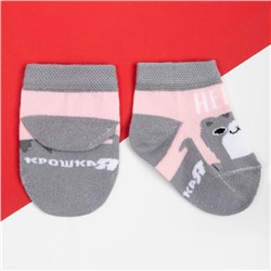 Набор носков Крошка Я «Котик», 2 пары, 8-10 см