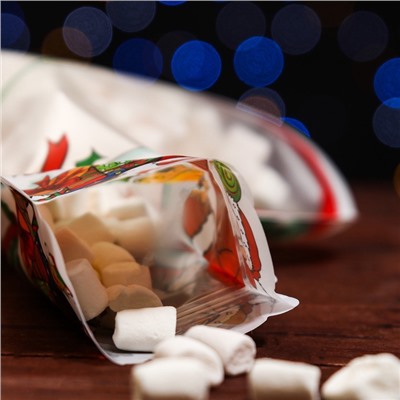 Пакет подарочный новогодний «Подарки», с zip - lock застежкой 16×21 см