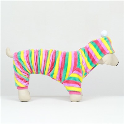 Комбинезон «Радуга» с капюшоном, размер 2XL (ДС 45 см, ОШ 45 см, ОГ 55 см)