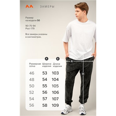 Мужские брюки из футера двухнитки Happyfox