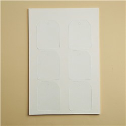 Шильдик новогодний на подарок «Год Новый, а ты старый», набор 6 штук, 16×24 см