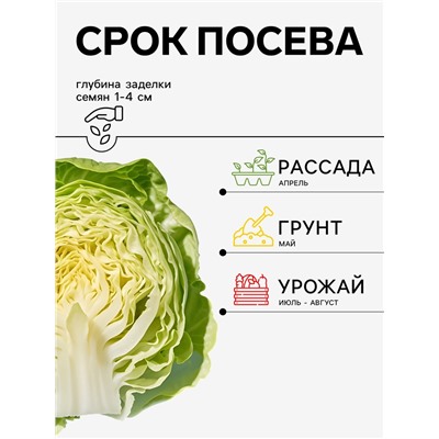Семена Капуста белокочанная «Ферро», F1, 10 шт., «Агрос»
