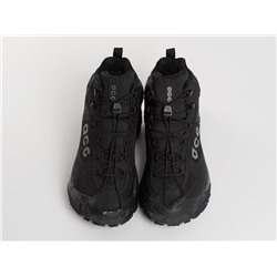 Зимние кроссовки Nike ACG Mountain Fly Mid