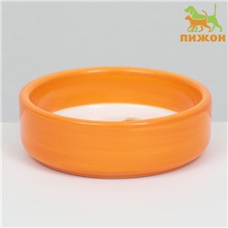 Миска керамическая с морковками 100 мл, 8.8×8.8×3 см, оранжевая