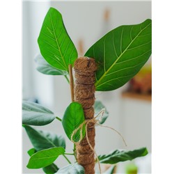 Опора для комнатных цветов, h=100 см, d=2.5 см, пластик, кокосовая оплётка, Greengo