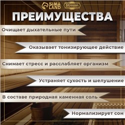 Соляной брикет набор 4 шт. по 200 г