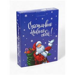Адвент календарь с мёдом «Счастливого Нового года», облепиха, кедровые орешки, малина, цитрус, клубника (12 шт. × 30 г)