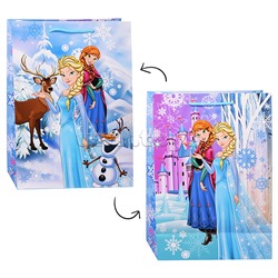 Пакет подарочный глянцевый ML, 22*31*10 см.