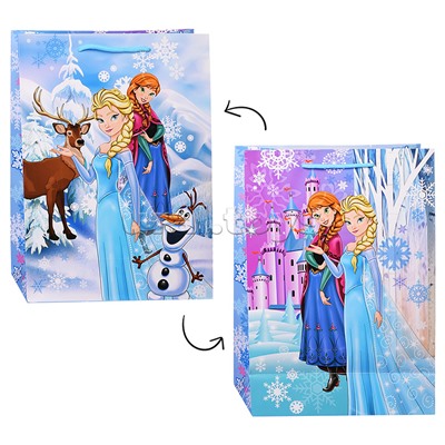 Пакет подарочный глянцевый ML, 22*31*10 см.