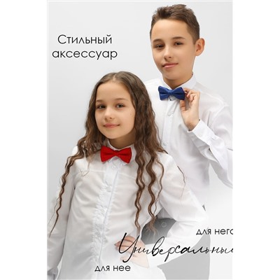 Бабочка СОЛЬ&ПЕРЕЦ, 972256