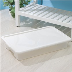 Контейнер для хранения Porter, 18 л, 66×42×12 см, с крышкой, цвет слоновая кость