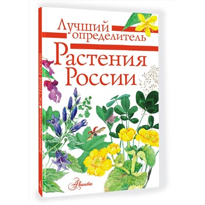 АСТ Дмитриева Т.Н., Пескова И.М., Куксина Н.В. "Растения России"