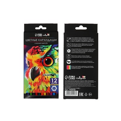 Карандаши цветные, 12 цветов, Calligrata TOP, шестигранные, пластиковые