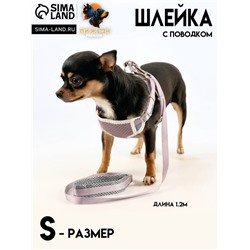 Комплект амуниции с мягкой шлейкой, M, поводок 120×1.5 см, ОШ 26-48 см, ОГ 26-48 см, серый