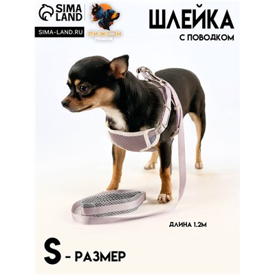 Комплект амуниции с мягкой шлейкой, M, поводок 120×1.5 см, ОШ 26-48 см, ОГ 26-48 см, серый