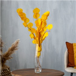 Сухоцвет персикового дерева, 50 г, длина — 70 см, жёлтый