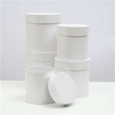 Набор шляпных подарочных коробок 5 в 1 «Белизна»,20×19.5 ‒11×11 см