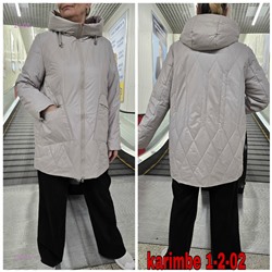 Куртка осень 1983617-1