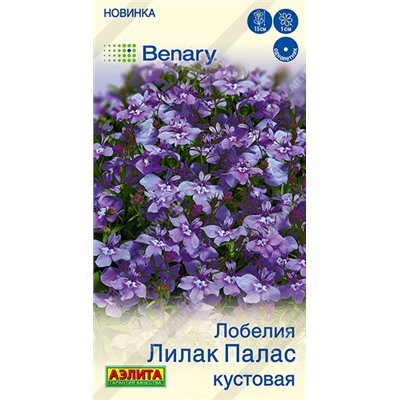 Лобелия Лилак палас кустовая (Код: 93583)