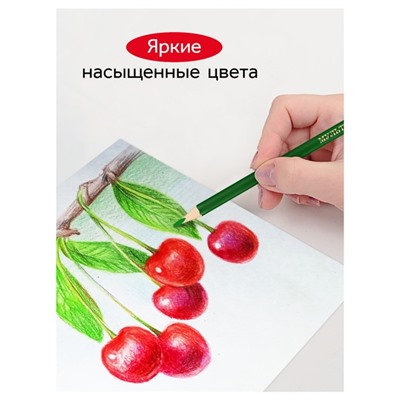 Карандаши цветные 12 цветов «Гамма. Мультики», трёхгранные, заточенные, картонная упаковка, (290122_12)