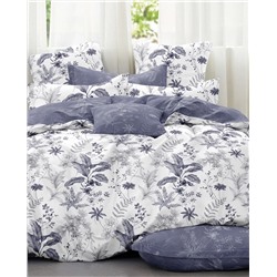 Текс-плюс КПБ Общий НФ-00244971