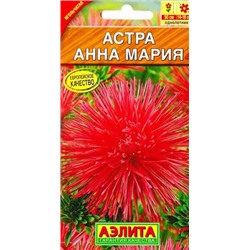 Астра Анна Мария (Код: 9641)
