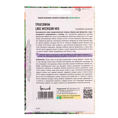 Семена цветов Трахелиум Lake Michigan Mix 4 м.др.  12.29 г.