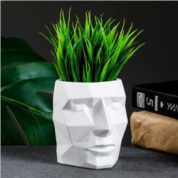 Декоративное кашпо для цветов «Геометрическая голова», 150 мл, 9×9×7.5 см, гипс, белое