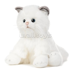 Котик Турецкая Ангора, 25 см