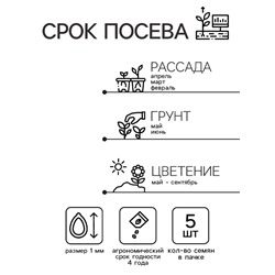 Семена Катарантус "Хит Вейв Эприкот", ц/п,  5 шт