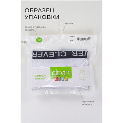 Трусы 2шт CLEVER, 810569
