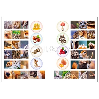 Мир животных с наклейками. Кто живёт в лесу?