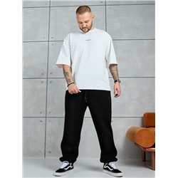 Брюки мужские Тренд