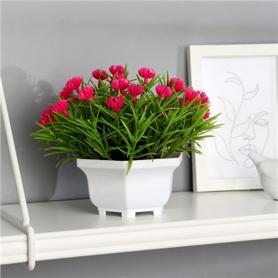 Искусственный цветок в горшке «Чернушка дамасская», 18×15 см, МИКС