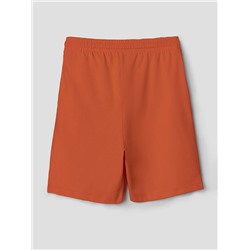 ШОРТЫ ДЛЯ МАЛЬЧИКОВ 133330