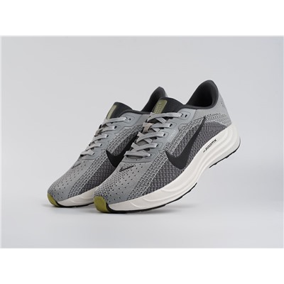 Кроссовки Nike Pegasus Plus