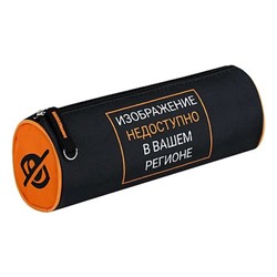 Пенал-тубус 210х70х70мм 72024 "ФРАЗЫ С ХАРАКТЕРОМ" микрофибра на ПВХ-основе Феникс