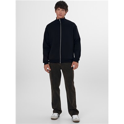 ТОЛСТОВКА МУЖСКАЯ 121212-1