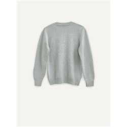 Джемперы ESLI Джемпер для мальчика 24С-13СП