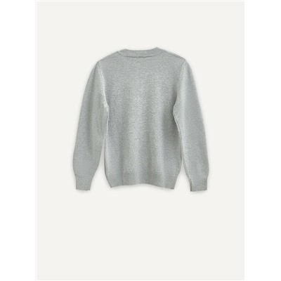 Джемперы ESLI Джемпер для мальчика 24С-13СП