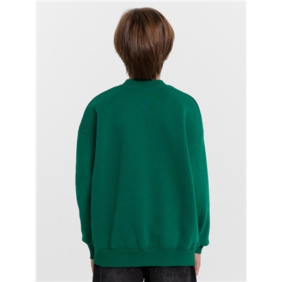 СВИТШОТ ДЛЯ МАЛЬЧИКОВ 123437/1