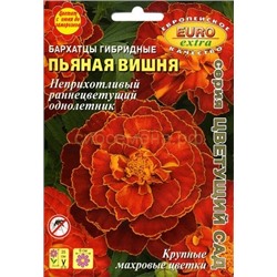 Бархатцы Пьяная вишня гибридные (Аэлита)