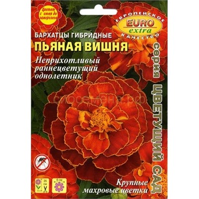 Бархатцы Пьяная вишня гибридные (Аэлита)