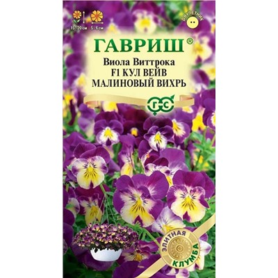Виола Кул вейв малиновый вихрь F1 (Код: 92902)