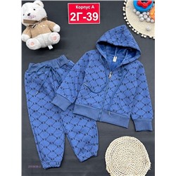 костюм с начесом 2055638-2